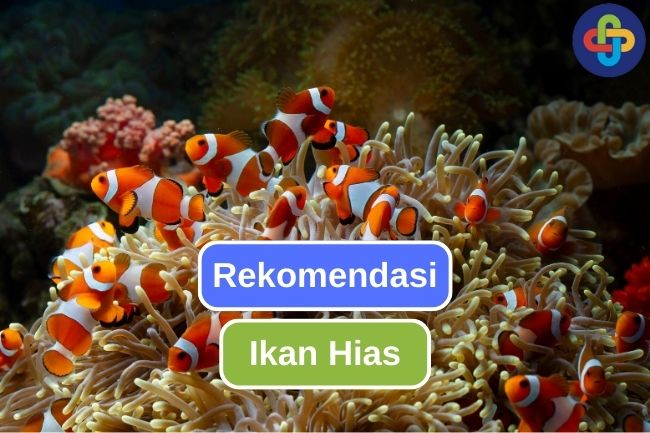 9 Ikan Laut Hias untuk Percantik Akuarium